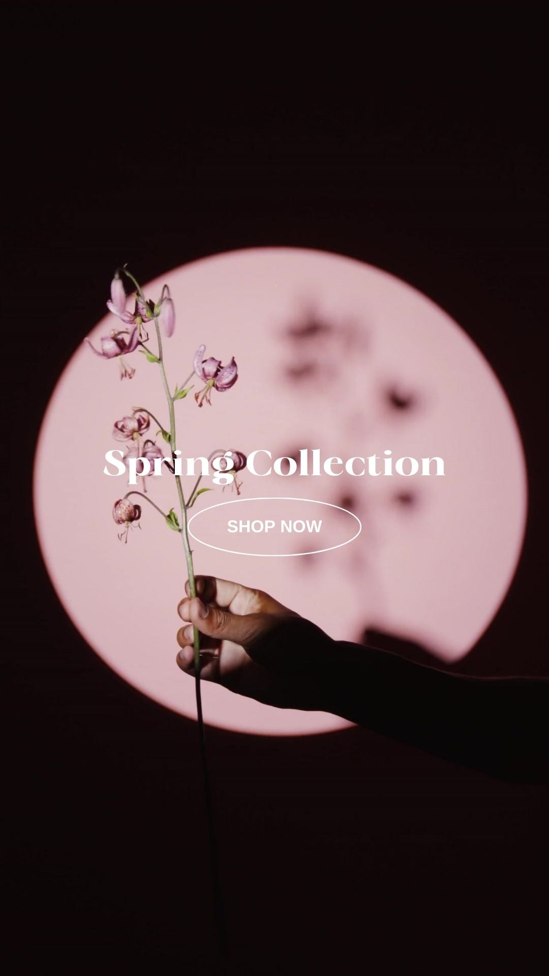 Spring_Collection.jpg